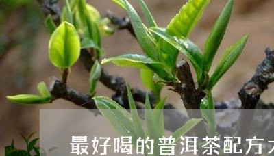 最好喝的普洱茶配方大全/2023081586373