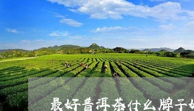 最好普洱茶什么牌子好喝/2023110741616