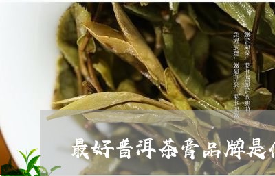 最好普洱茶膏品牌是什么/2023101771714