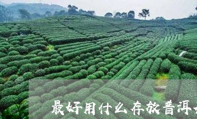 最好用什么存放普洱茶好/2023120796483