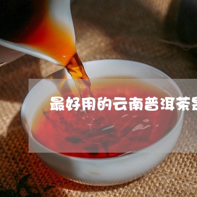 最好用的云南普洱茶是哪种/2023110462525