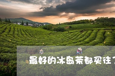 最好的冰岛茶都买往了哪里/2023051217058