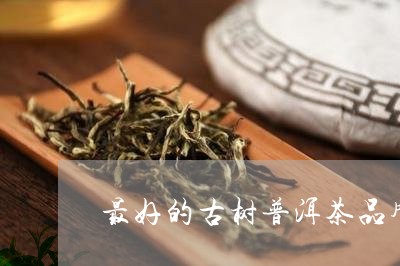 最好的古树普洱茶品牌排名/2023112437794