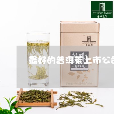 最好的普洱茶上市公司/2023092993926