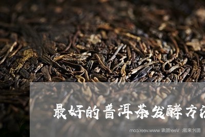 最好的普洱茶发酵方法/2023100846261