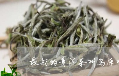 最好的普洱茶叫鸟屎吗/2023061754625