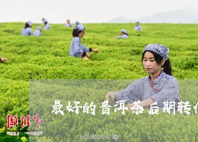 最好的普洱茶后期转化/2023100586937