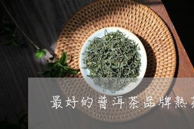 最好的普洱茶品牌熟茶/2023100794826