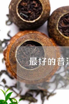 最好的普洱茶推荐一下喝/2023102455372