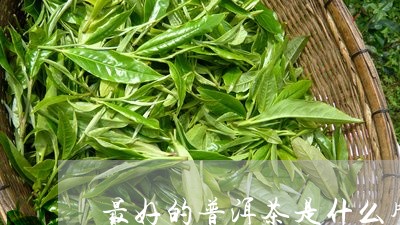 最好的普洱茶是什么牌子的茶叶/2023052993183