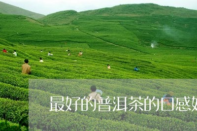 最好的普洱茶的口感好/2023062208270