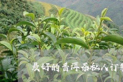 最好的普洱茶私人订制/2023080254925