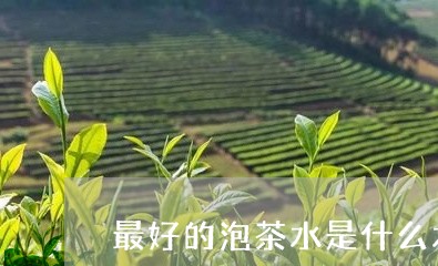 最好的泡茶水是什么水/2023071543695