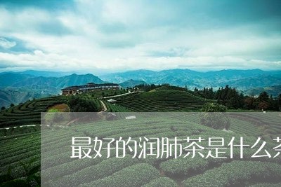 最好的润肺茶是什么茶/2023071405149