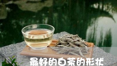 最好的白茶的形状/2023062141492