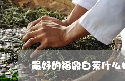 最好的福鼎白茶什么样子/2023092226039