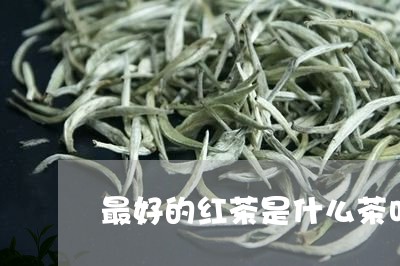 最好的红茶是什么茶叶/2023061089694