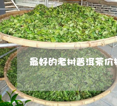 最好的老树普洱茶价格/2023073182607