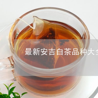 最新安吉白茶品种大全图/2023102644727