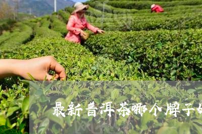 最新普洱茶哪个牌子好/2023062405169