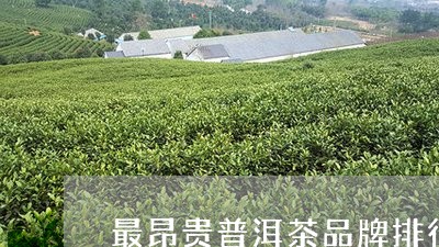 最昂贵普洱茶品牌排行榜前十名/2023082858592