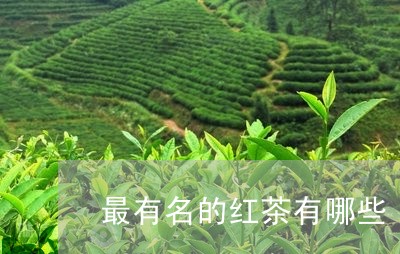 最有名的红茶有哪些/2023042177381