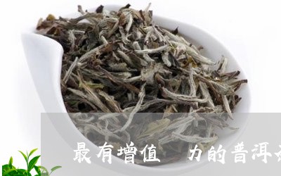 最有增值潛力的普洱茶/2023062321415