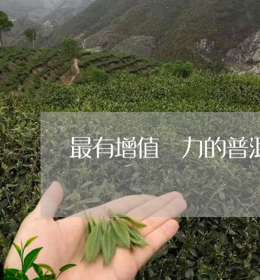 最有增值潛力的普洱茶/2023073076370