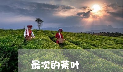 最次的茶叶/2023090296928