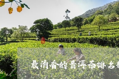 最清香的普洱茶排名榜前十名/2023121777260