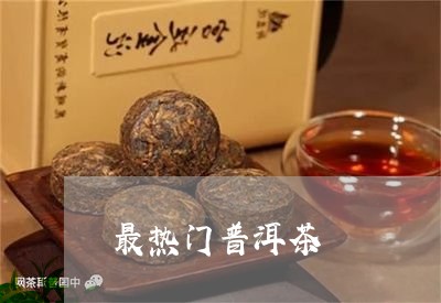 最热门普洱茶/2023042674023