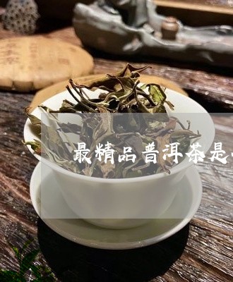 最精品普洱茶是什么茶/2023120653928