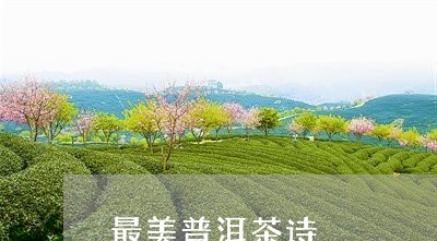 最美普洱茶诗/2023042891395