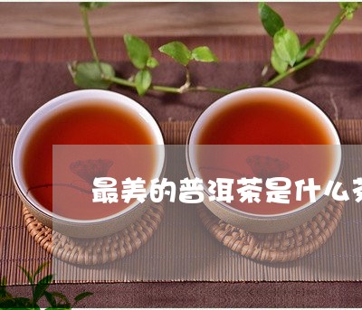 最美的普洱茶是什么茶/2023100714039