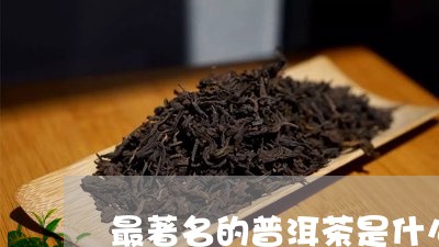 最著名的普洱茶是什么/2023120672748