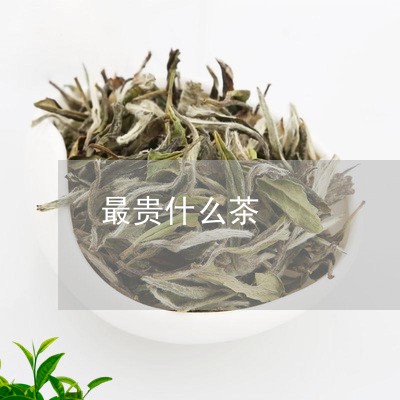 最贵什么茶/2023090285148