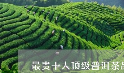 最贵十大顶级普洱茶品牌/2023110759493