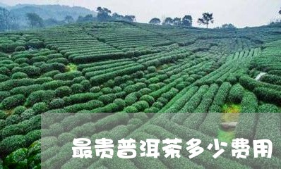 最贵普洱茶多少费用/2023071192523