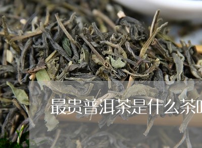 最贵普洱茶是什么茶叶品种/2023110723927