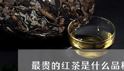 最贵的红茶是什么品种/2023060988283