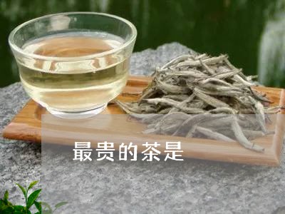 最贵的茶是/2023122027380