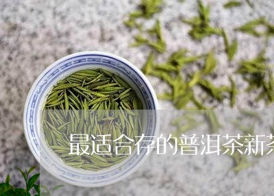 最适合存的普洱茶新茶/2023120688262