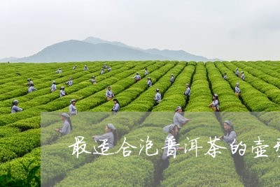 最适合泡普洱茶的壶型/2023092672815