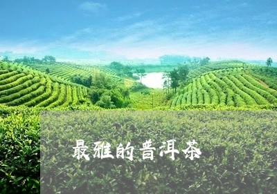 最雅的普洱茶/2023042889195