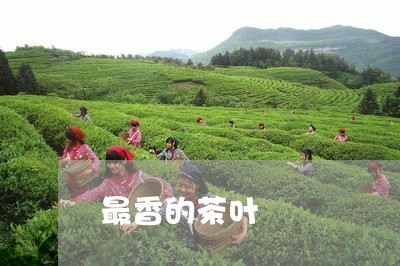 最香的茶叶/2023041895143