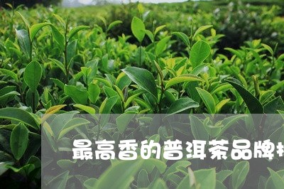 最高香的普洱茶品牌排行榜/2023121764926