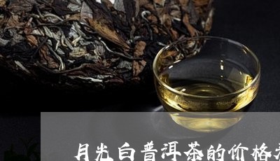 月光白普洱茶的价格表/2023092859573