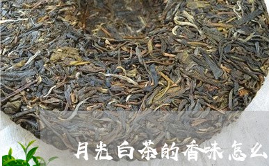 月光白茶的香味怎么样/2023100295928