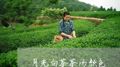 月光白茶茶汤颜色/2023062166247