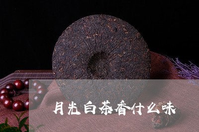 月光白茶香什么味/2023062166250